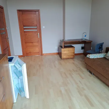 Forsycja Sobieszewo