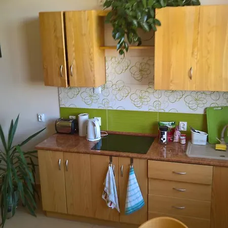 Forsycja 民宿 格但斯克