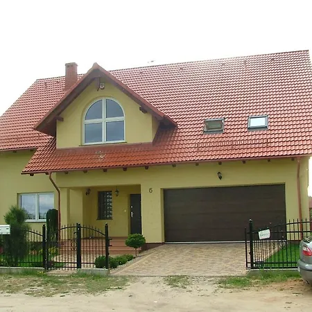 Forsycja Sobieszewo