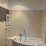 Forsycja Gdańsk